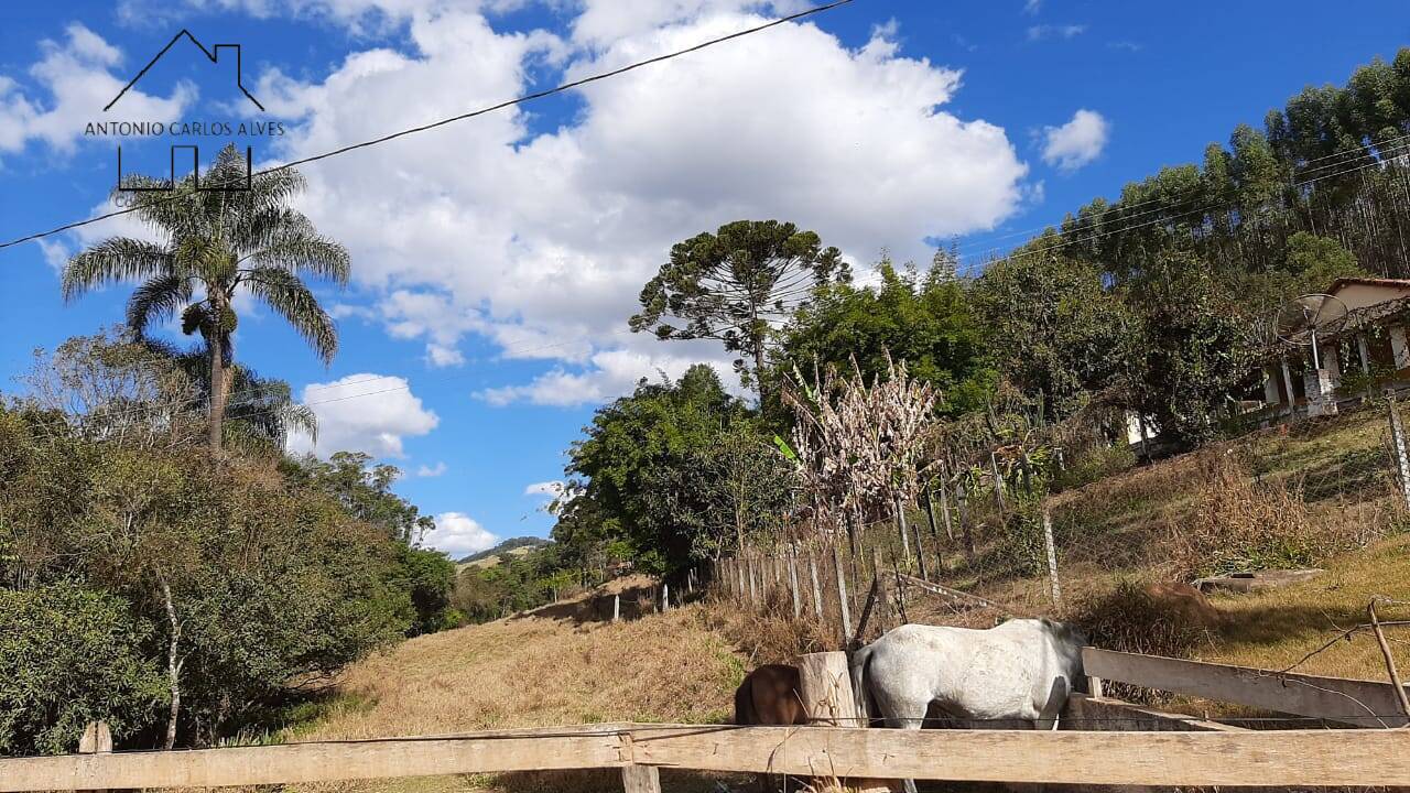 Fazenda à venda com 6 quartos, 180m² - Foto 30