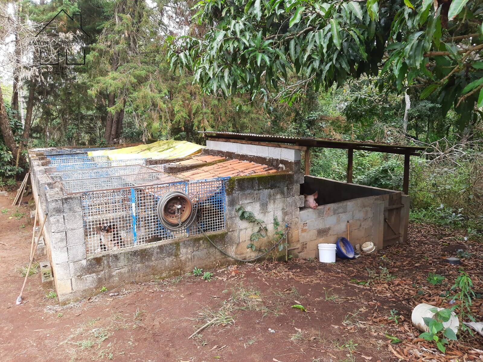 Fazenda à venda com 2 quartos, 150m² - Foto 25