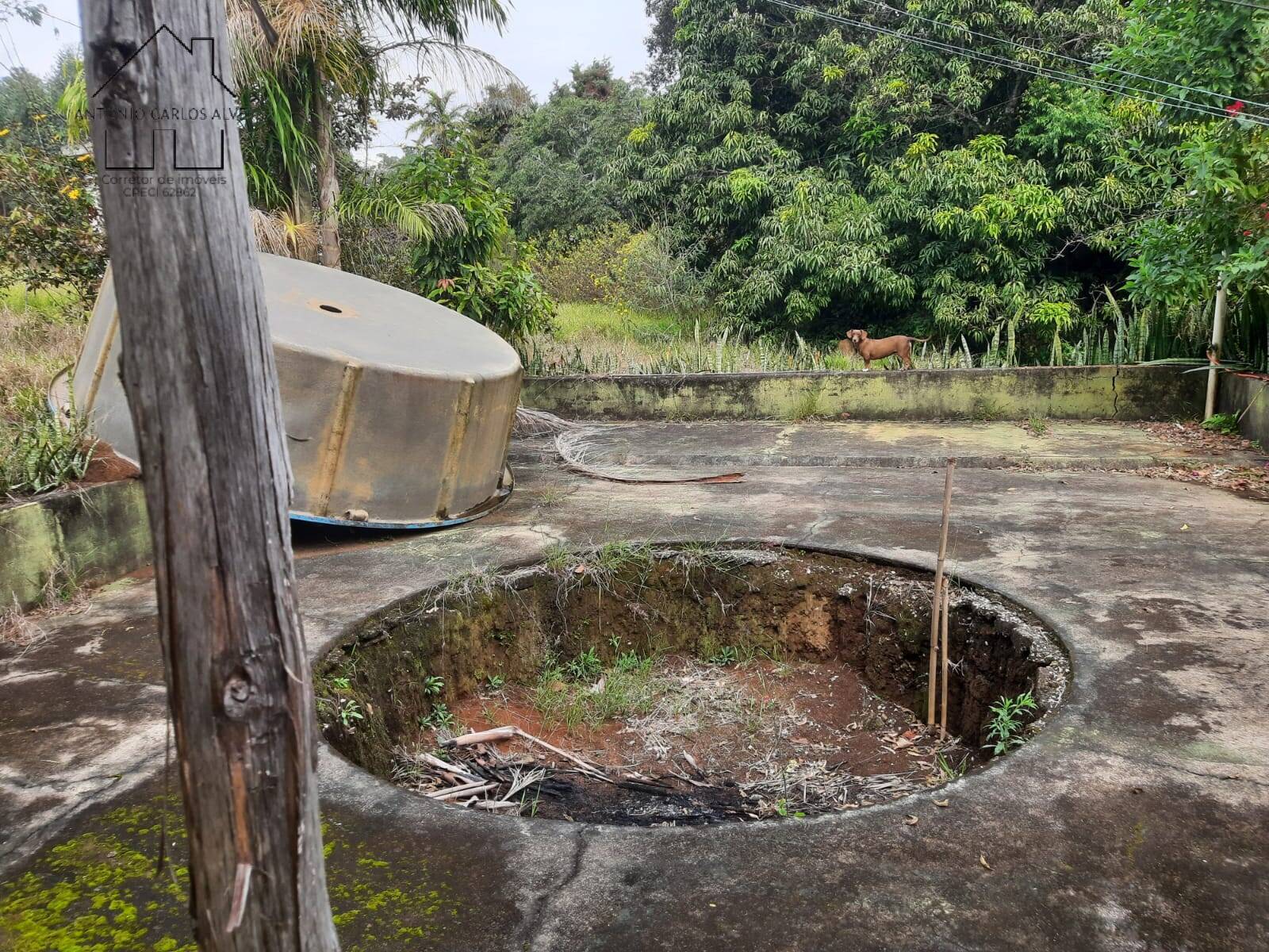 Fazenda à venda com 2 quartos, 150m² - Foto 28