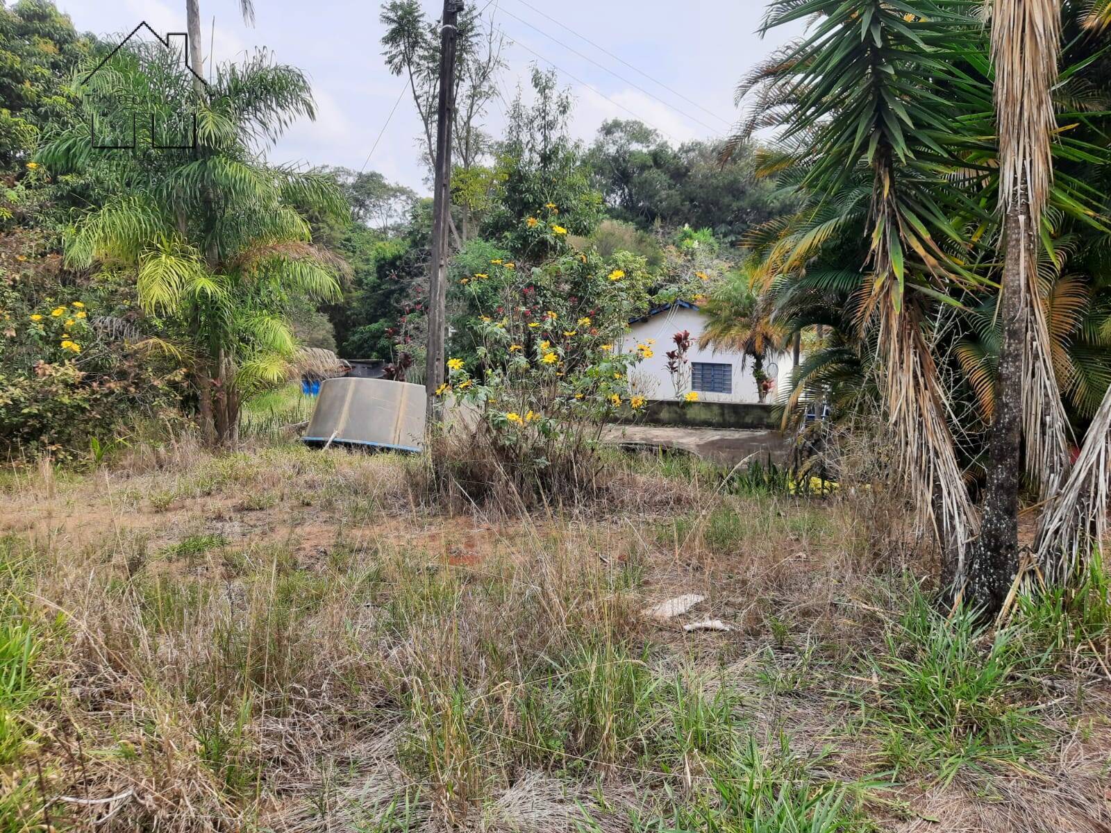 Fazenda à venda com 2 quartos, 150m² - Foto 32