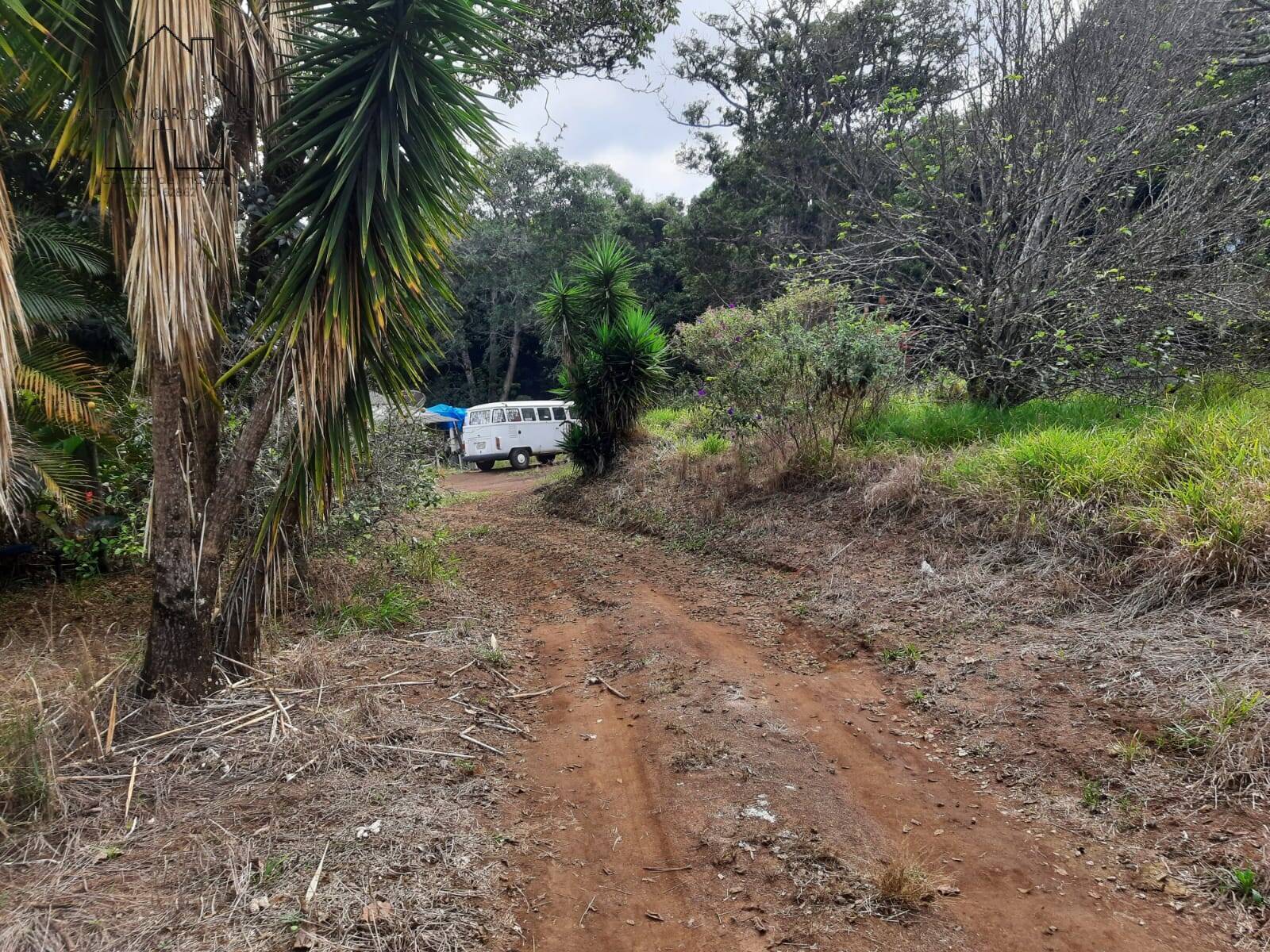 Fazenda à venda com 2 quartos, 150m² - Foto 31