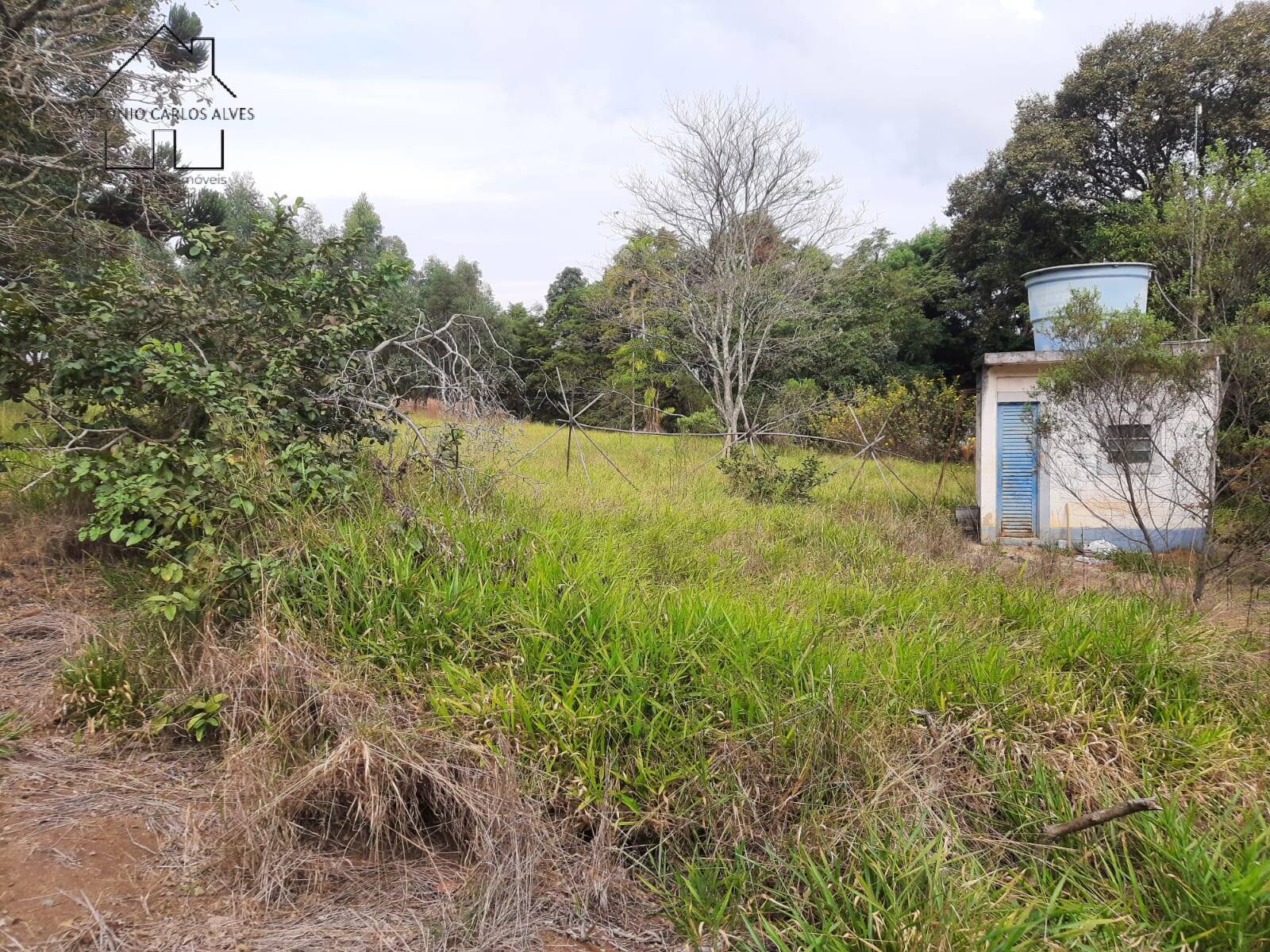 Fazenda à venda com 2 quartos, 150m² - Foto 34