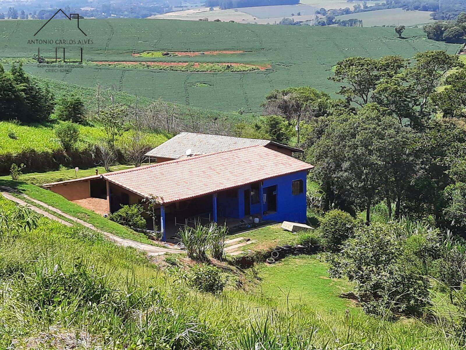 Fazenda à venda com 3 quartos, 350m² - Foto 1