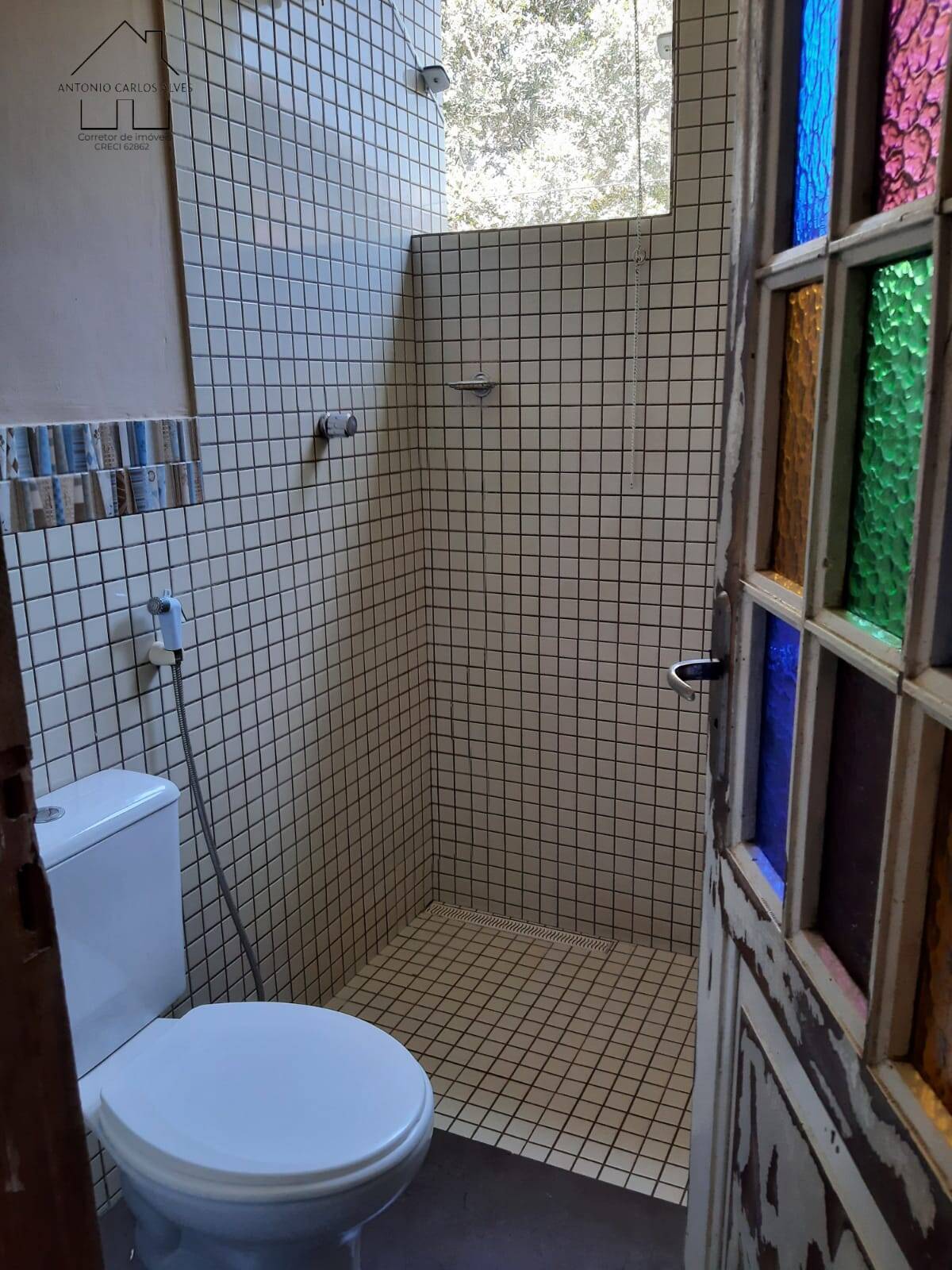 Fazenda à venda com 3 quartos, 350m² - Foto 12