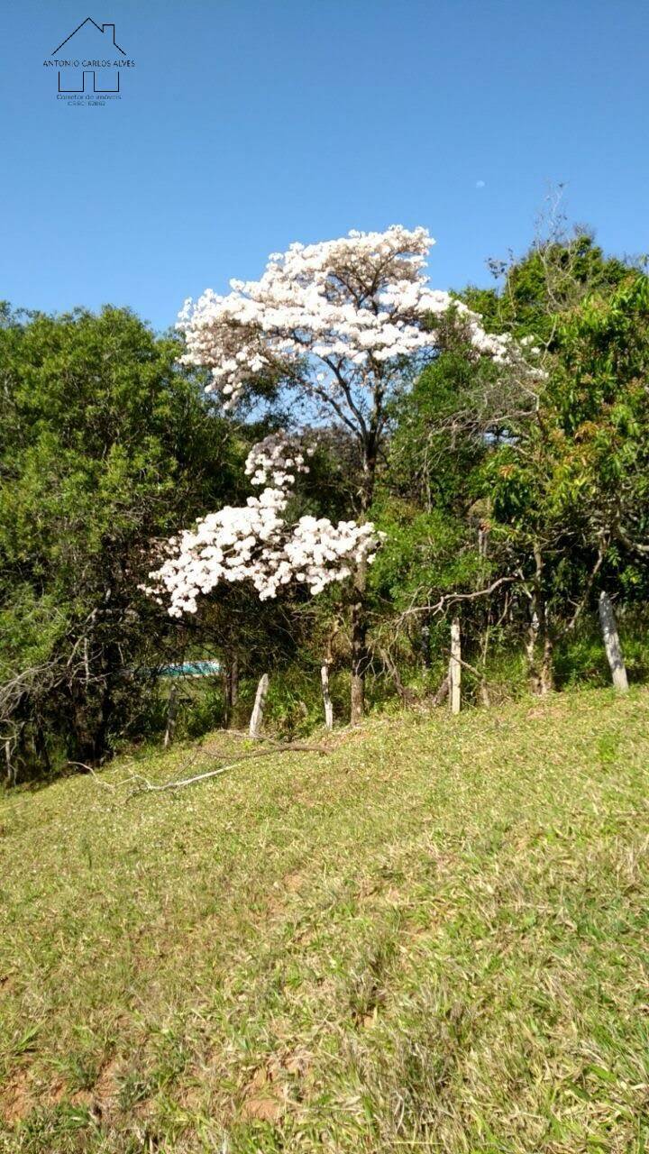 Fazenda à venda com 2 quartos, 192m² - Foto 29