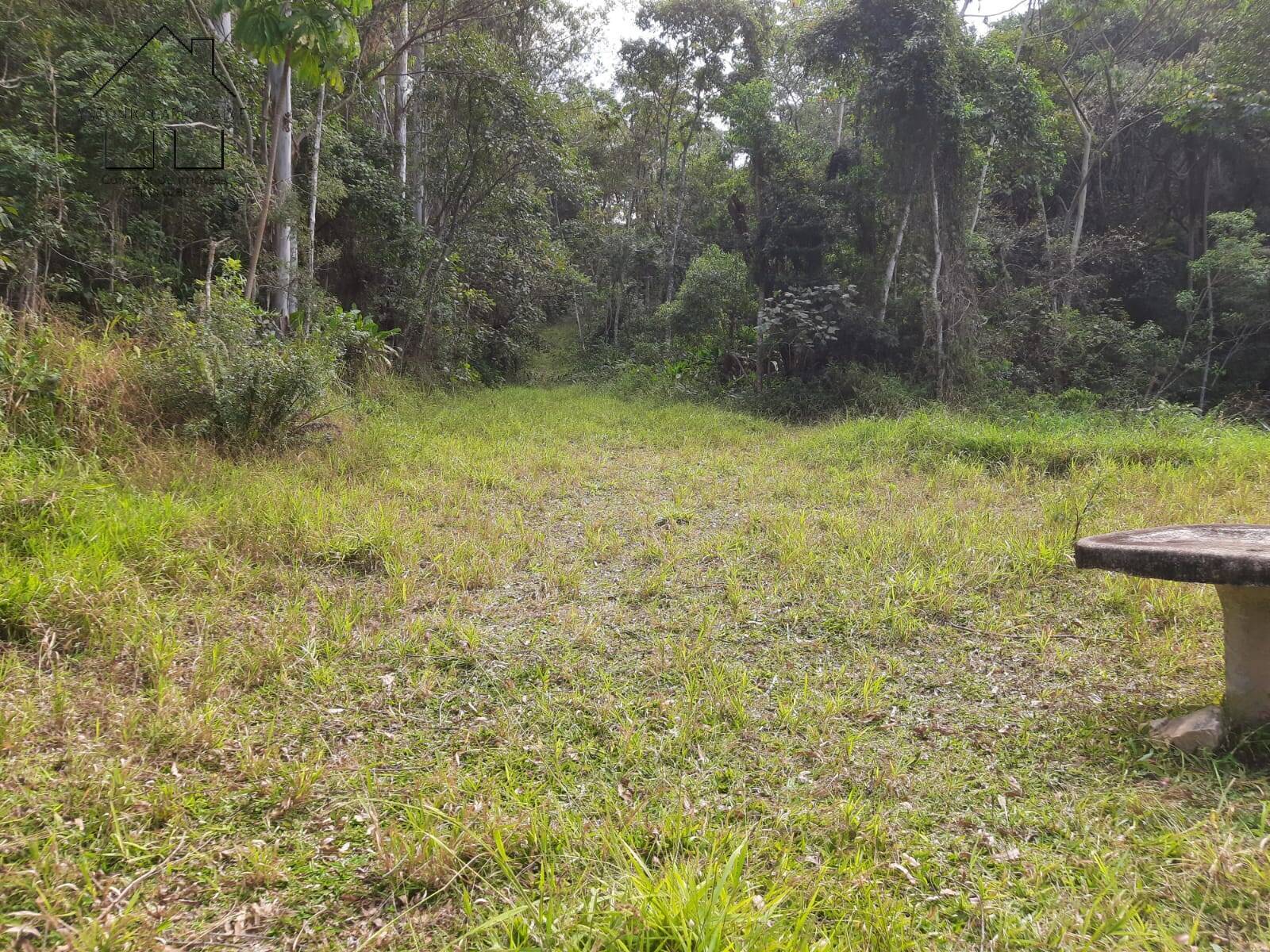 Fazenda à venda com 4 quartos, 1000m² - Foto 11