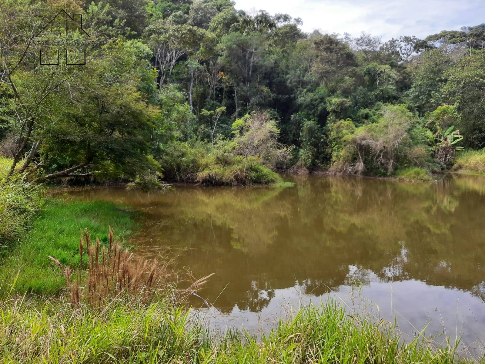 Fazenda à venda com 4 quartos, 1000m² - Foto 14