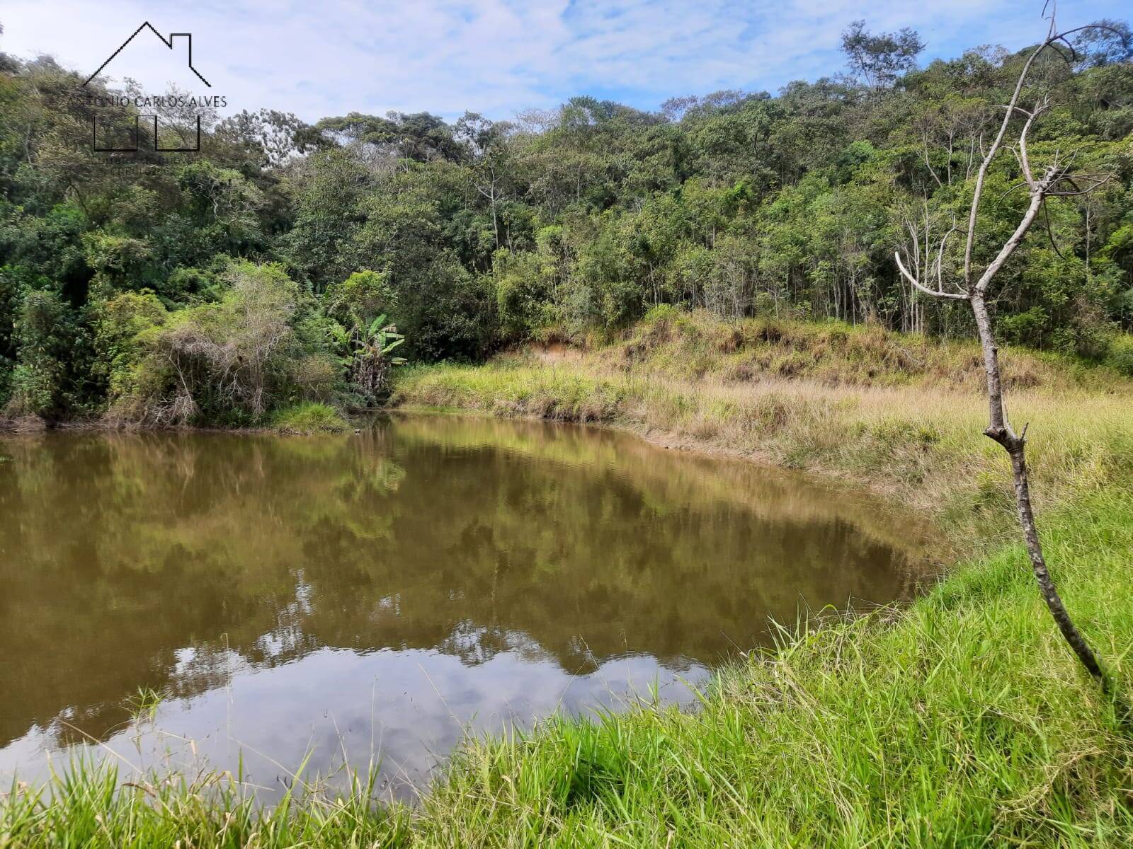 Fazenda à venda com 4 quartos, 1000m² - Foto 13