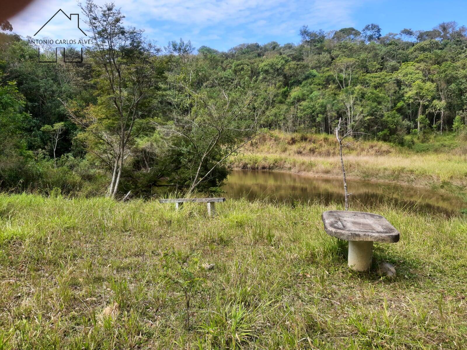 Fazenda à venda com 4 quartos, 1000m² - Foto 18