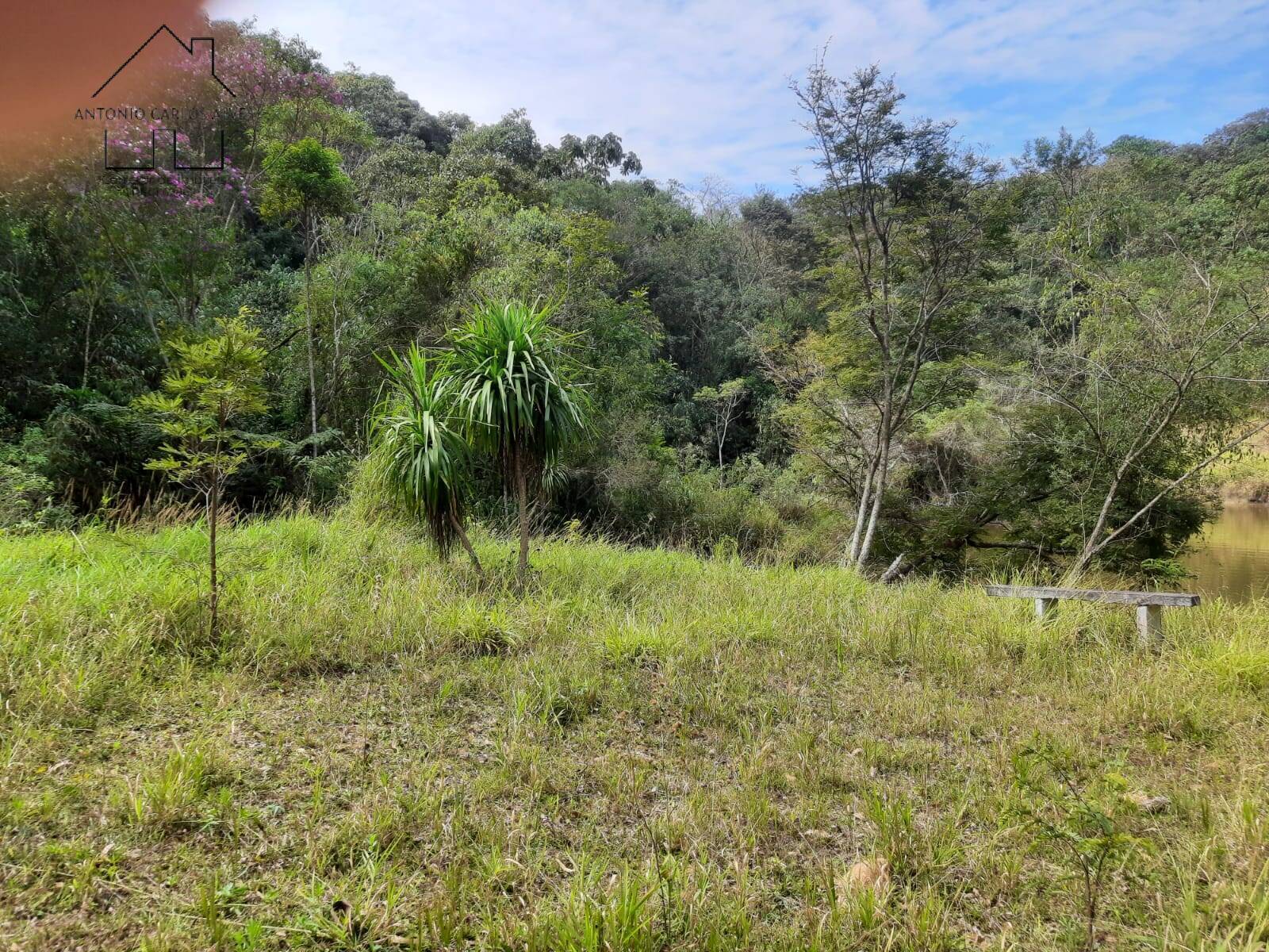 Fazenda à venda com 4 quartos, 1000m² - Foto 17