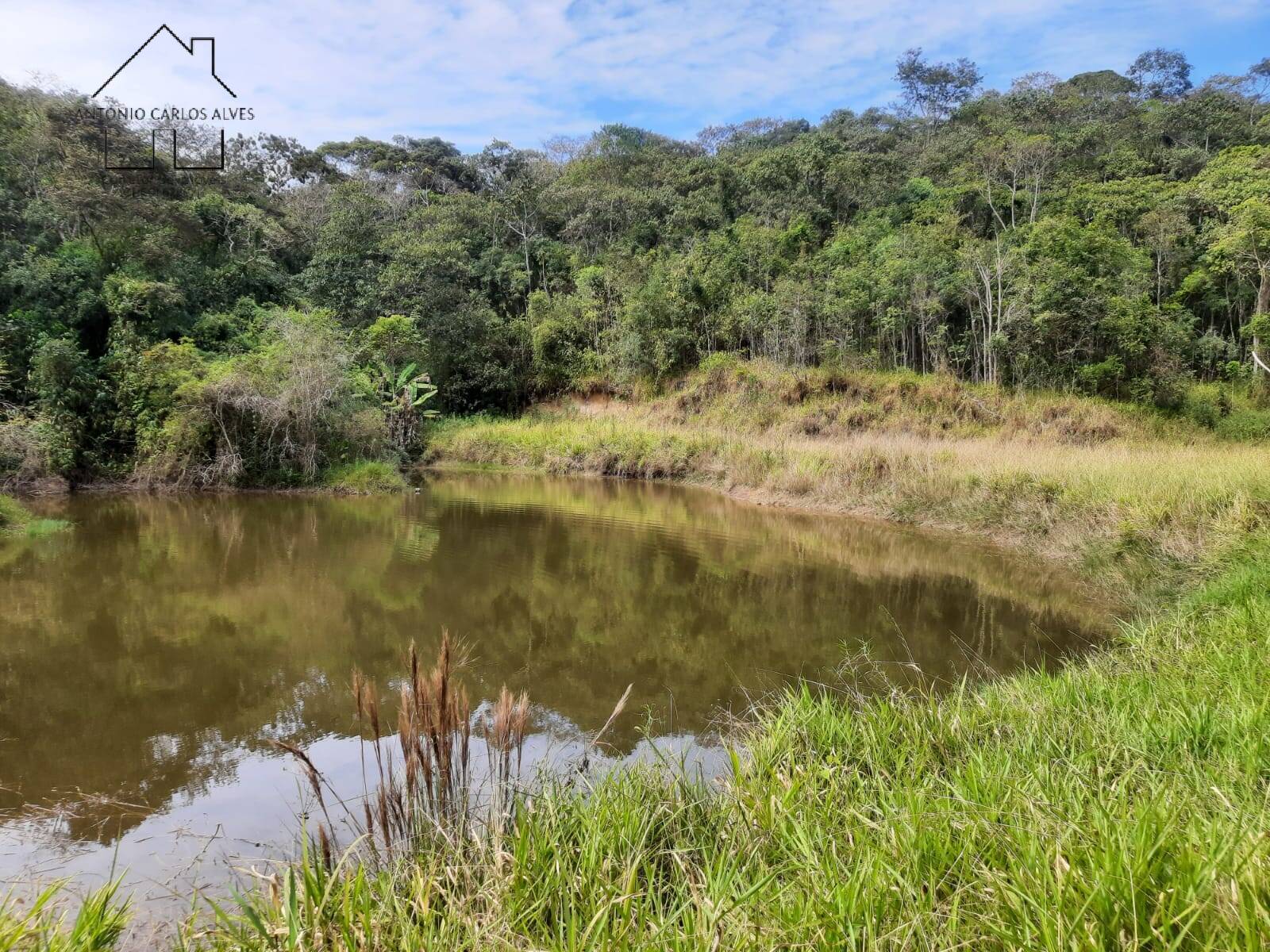 Fazenda à venda com 4 quartos, 1000m² - Foto 16