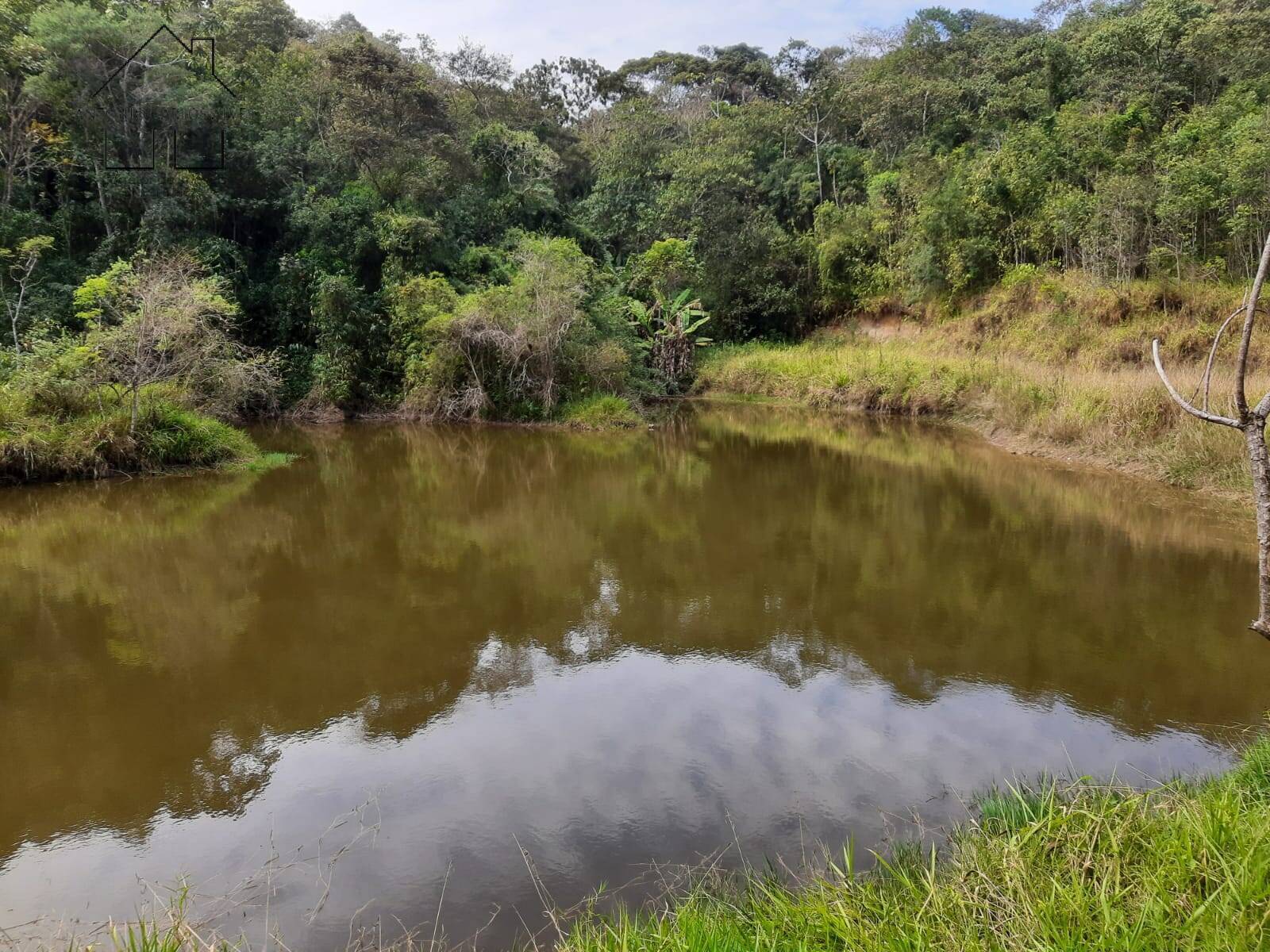 Fazenda à venda com 4 quartos, 1000m² - Foto 15