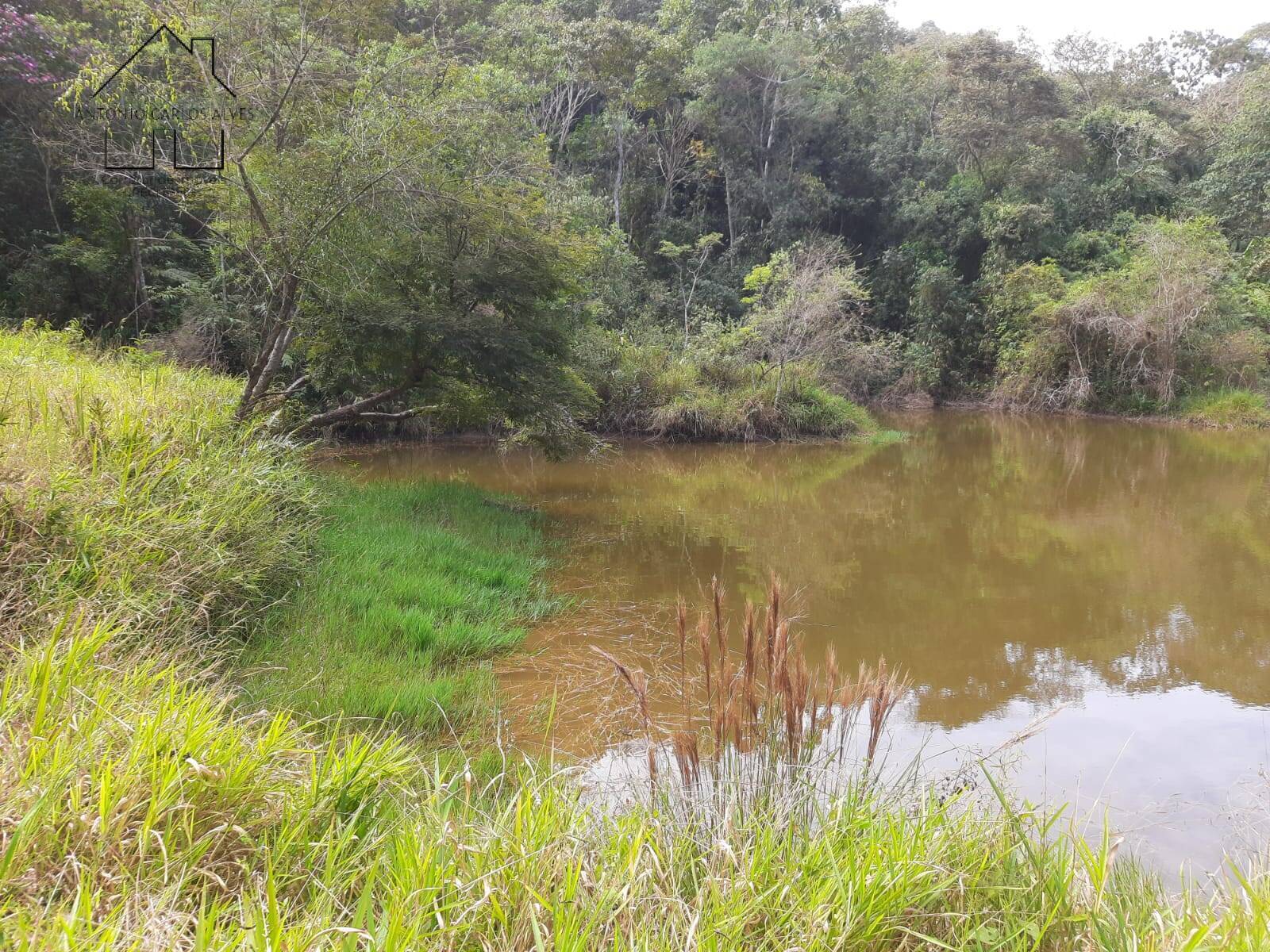 Fazenda à venda com 4 quartos, 1000m² - Foto 19