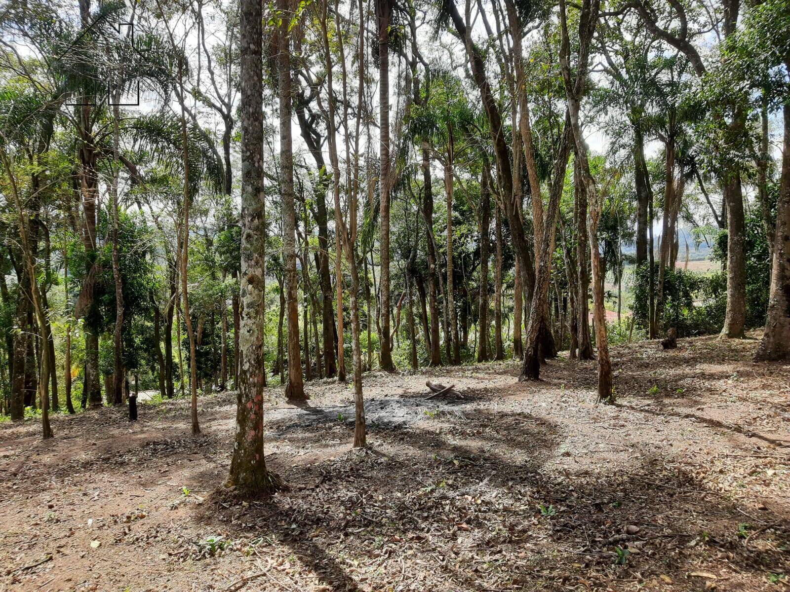 Fazenda à venda com 4 quartos, 1000m² - Foto 27