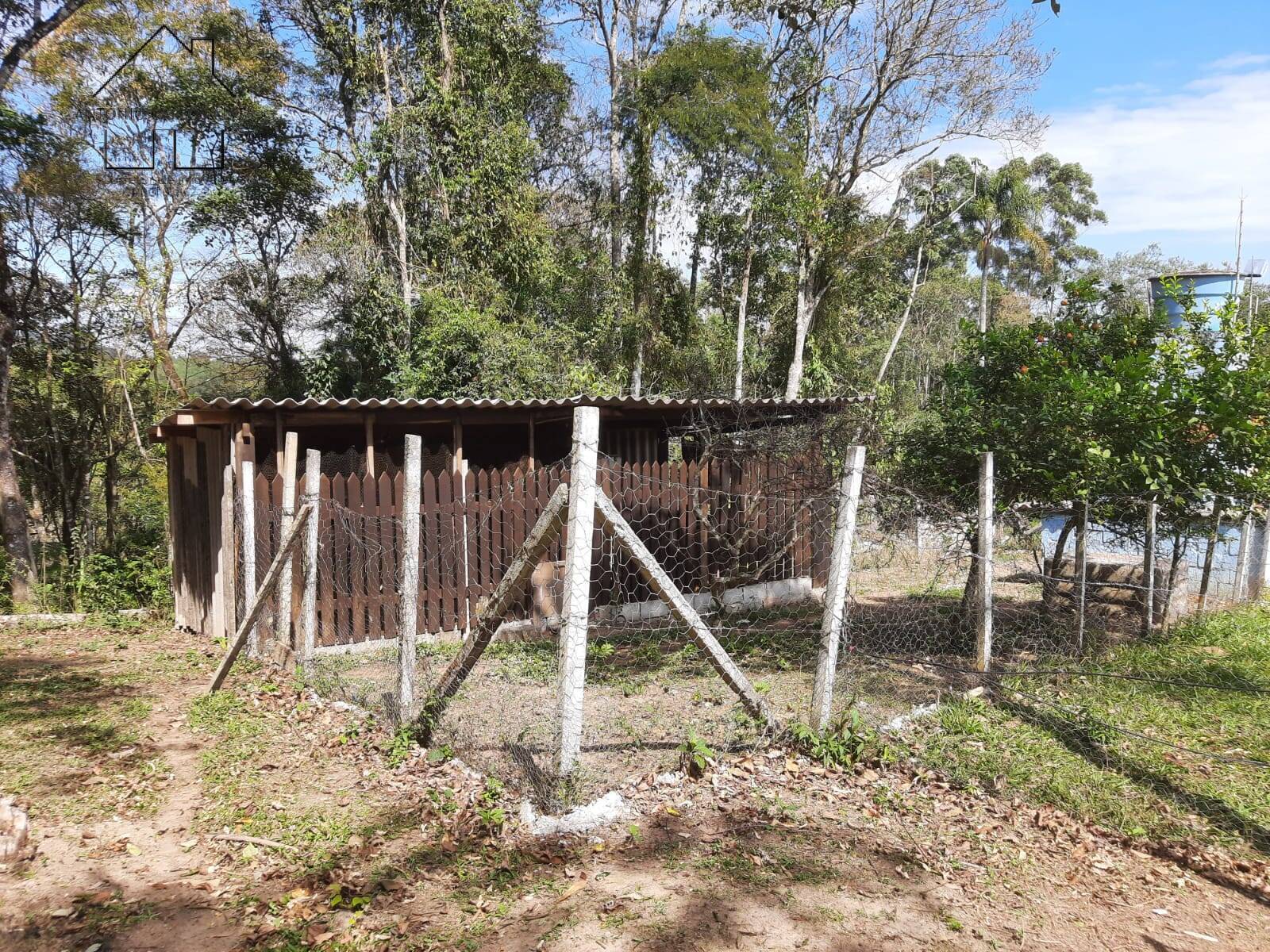 Fazenda à venda com 4 quartos, 1000m² - Foto 28