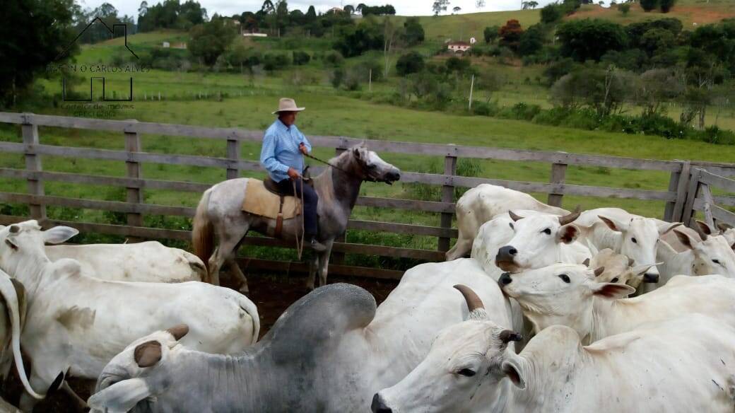 Fazenda à venda com 3 quartos, 80m² - Foto 6