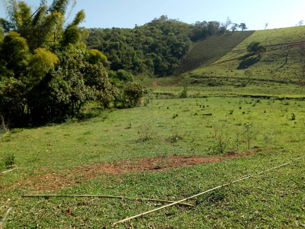 Fazenda à venda com 3 quartos, 80m² - Foto 5