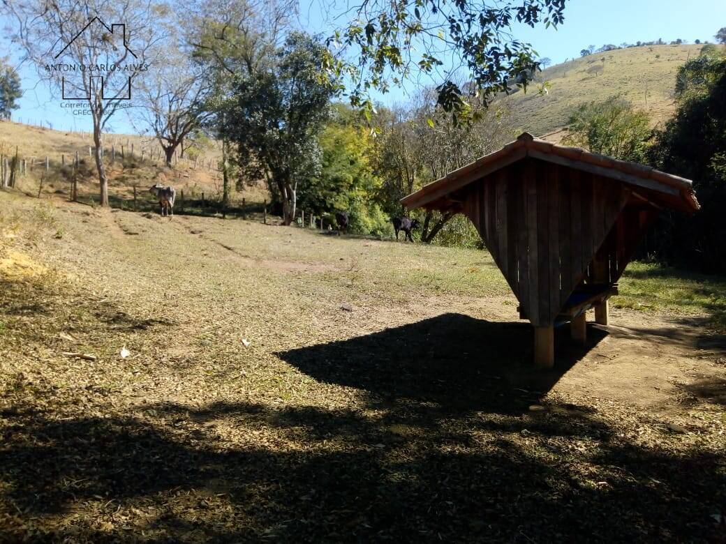 Fazenda à venda com 3 quartos, 80m² - Foto 7