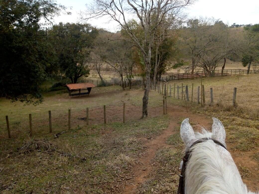 Fazenda à venda com 3 quartos, 80m² - Foto 14