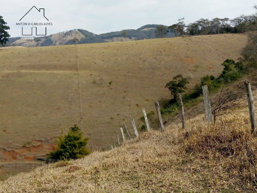 Fazenda à venda com 3 quartos, 80m² - Foto 22