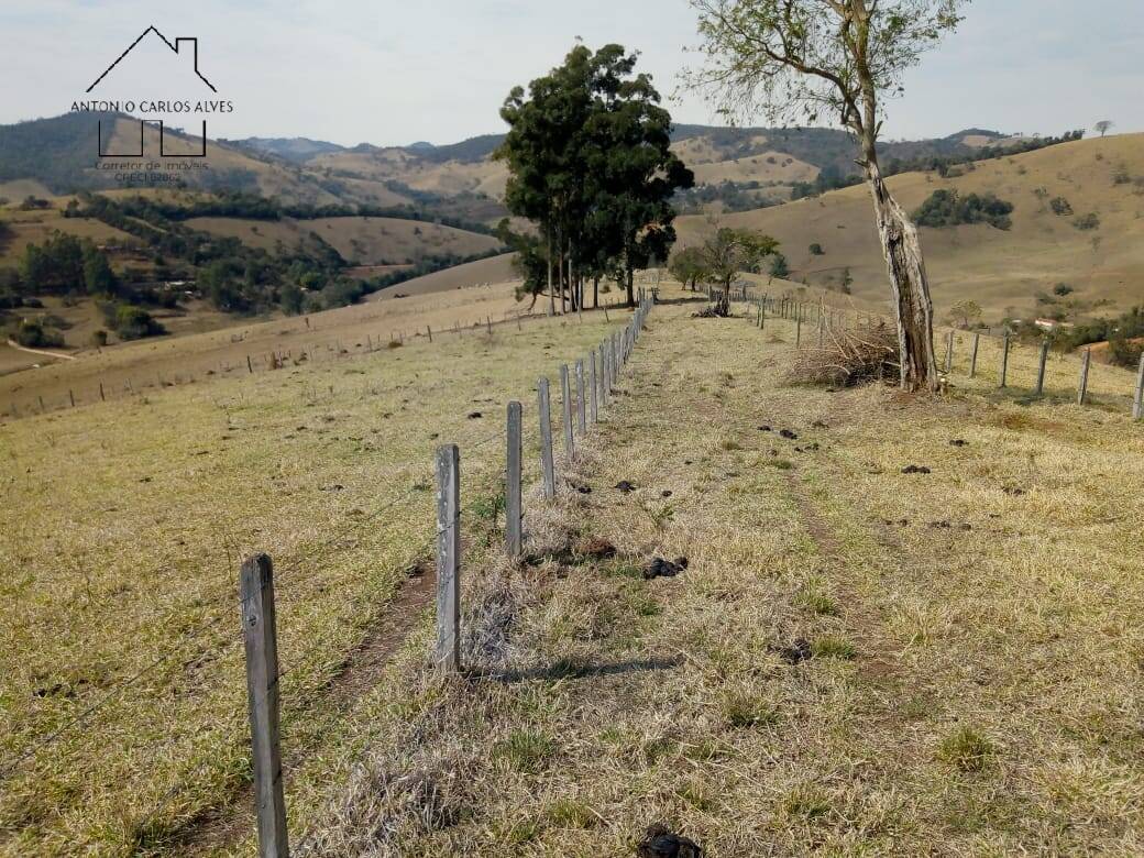 Fazenda à venda com 3 quartos, 80m² - Foto 27