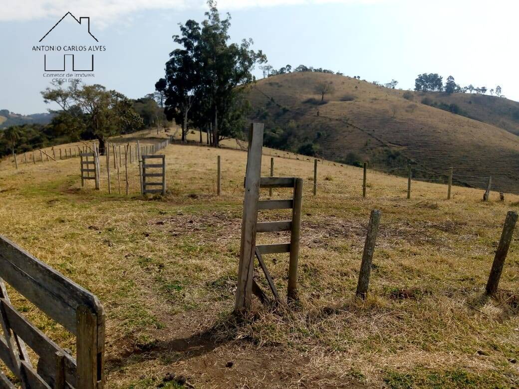 Fazenda à venda com 3 quartos, 80m² - Foto 31