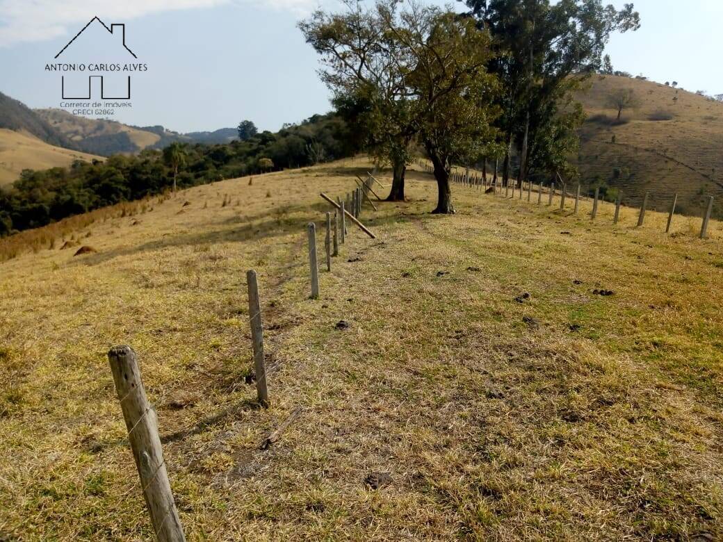 Fazenda à venda com 3 quartos, 80m² - Foto 33