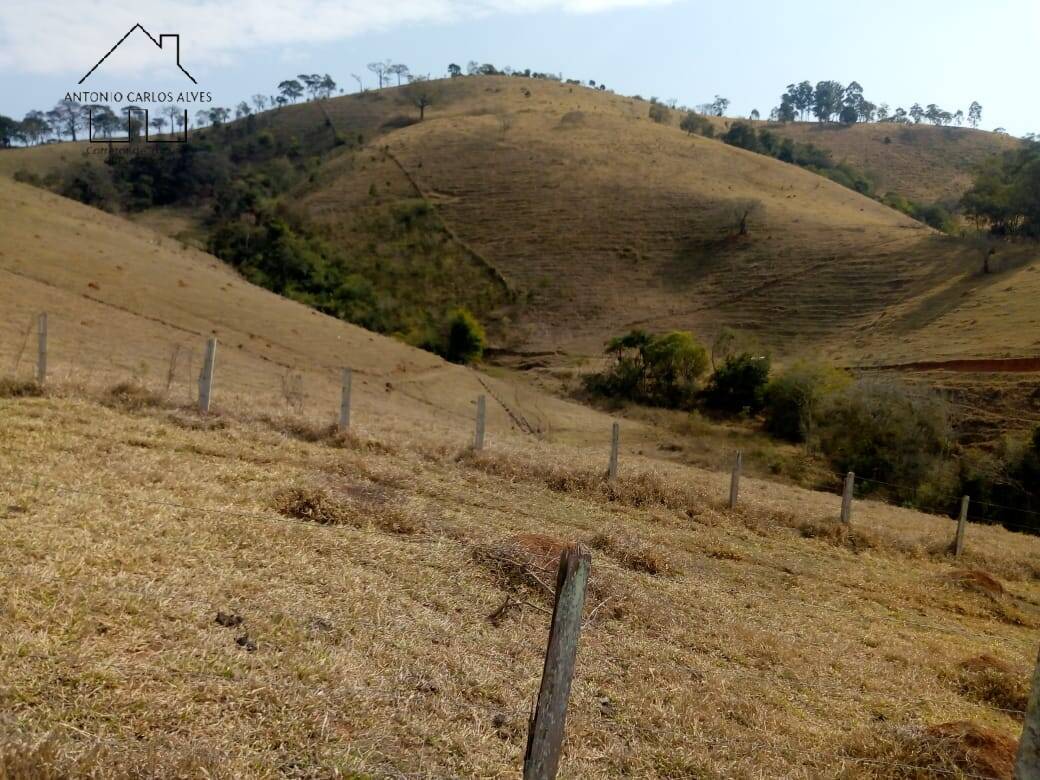 Fazenda à venda com 3 quartos, 80m² - Foto 37