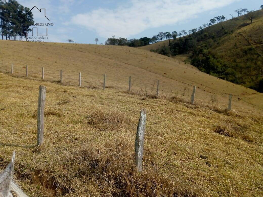 Fazenda à venda com 3 quartos, 80m² - Foto 35