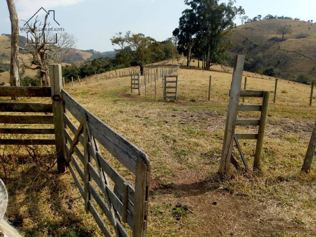 Fazenda à venda com 3 quartos, 80m² - Foto 32