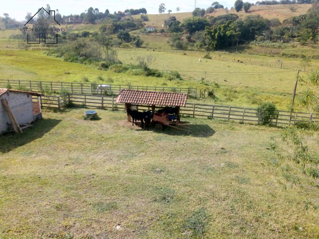 Fazenda à venda com 3 quartos, 80m² - Foto 39