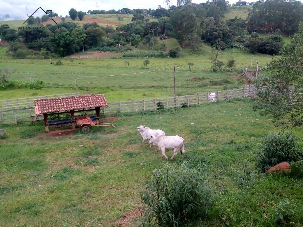 Fazenda à venda com 3 quartos, 80m² - Foto 43