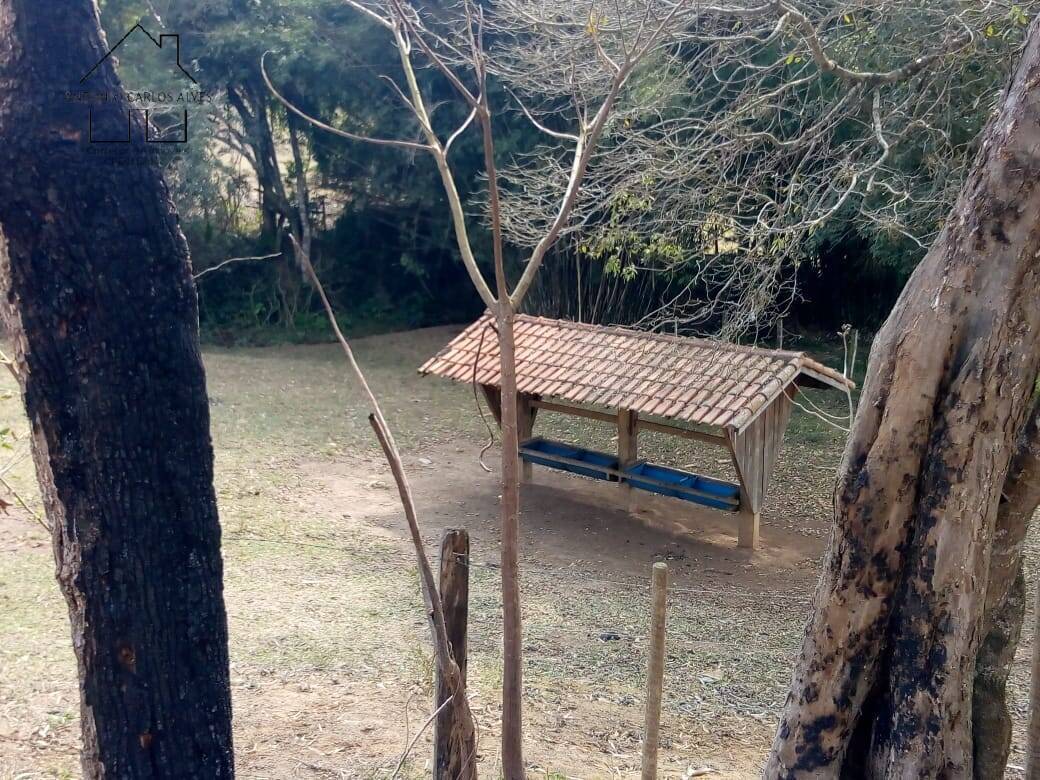 Fazenda à venda com 3 quartos, 80m² - Foto 41