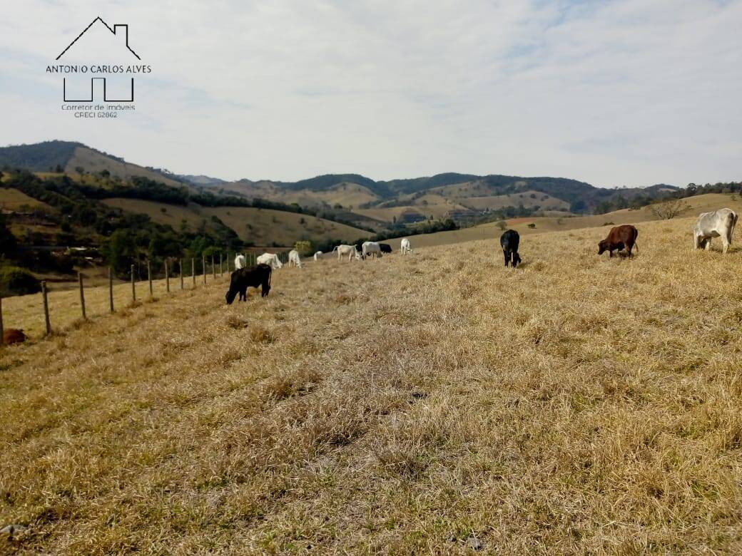 Fazenda à venda com 3 quartos, 80m² - Foto 38