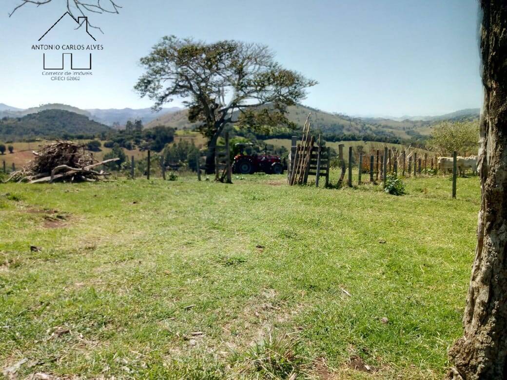 Fazenda à venda com 3 quartos, 80m² - Foto 44