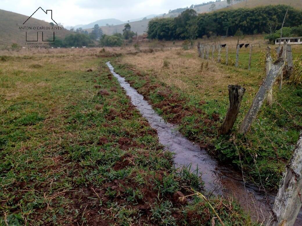 Fazenda à venda com 3 quartos, 80m² - Foto 47