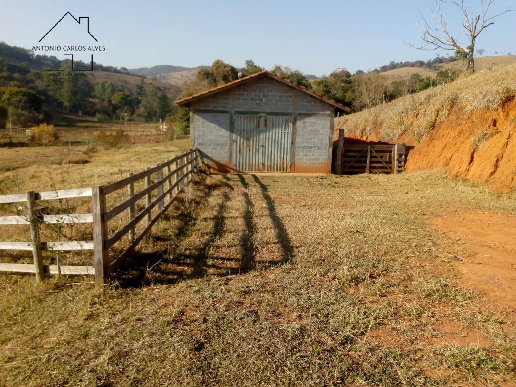 Fazenda à venda com 3 quartos, 80m² - Foto 55