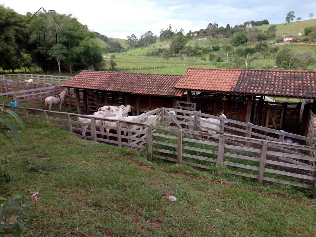 Fazenda à venda com 3 quartos, 80m² - Foto 54