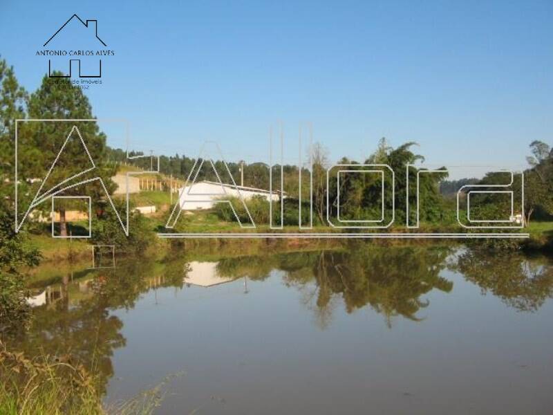 Fazenda à venda com 3 quartos, 6500m² - Foto 2