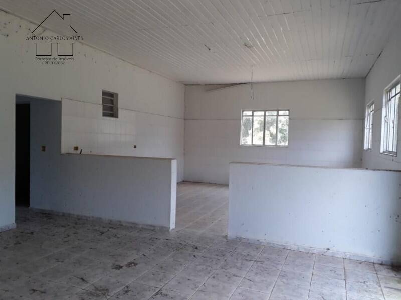 Fazenda à venda com 3 quartos, 6500m² - Foto 11