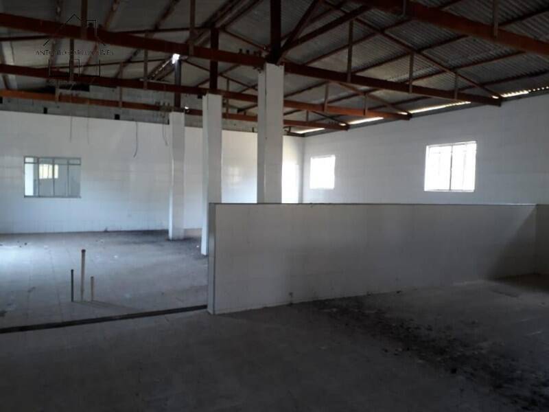 Fazenda à venda com 3 quartos, 6500m² - Foto 10