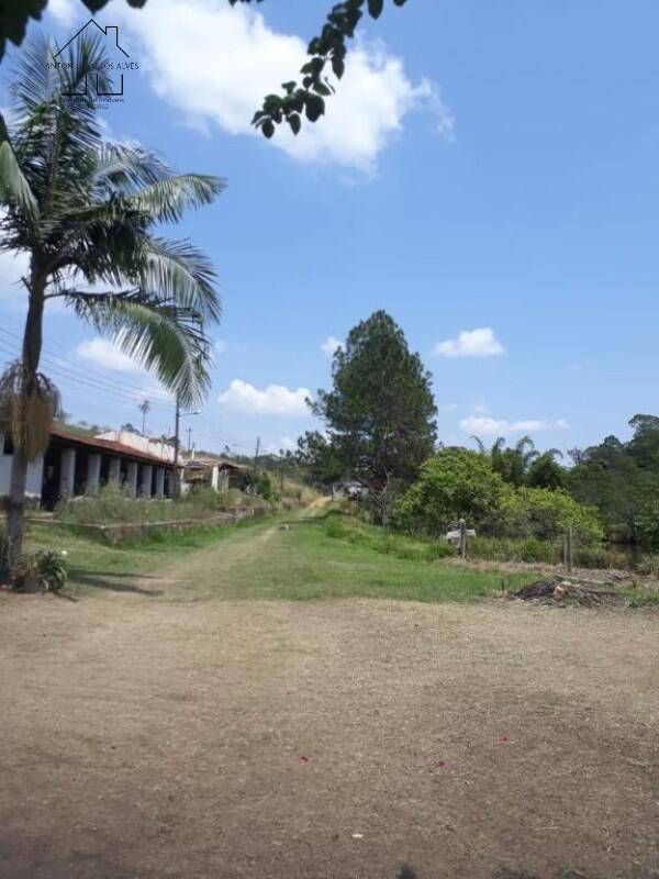 Fazenda à venda com 3 quartos, 6500m² - Foto 13