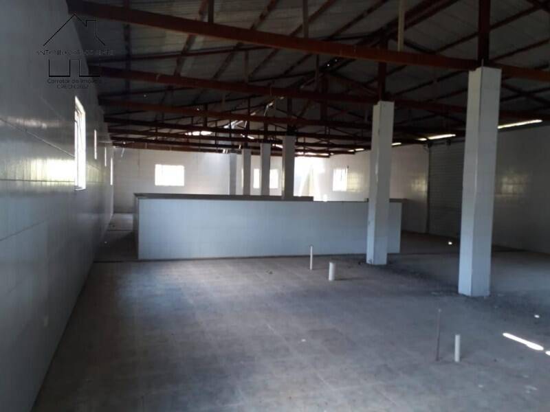 Fazenda à venda com 3 quartos, 6500m² - Foto 12