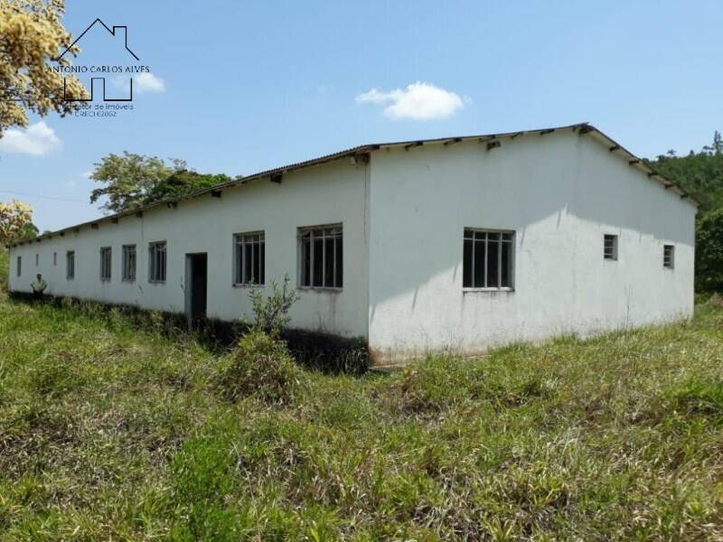 Fazenda à venda com 3 quartos, 6500m² - Foto 1