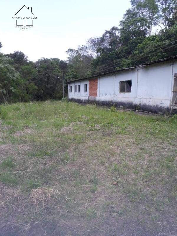 Fazenda à venda com 3 quartos, 6500m² - Foto 18