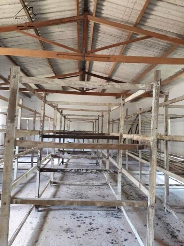 Fazenda à venda com 3 quartos, 6500m² - Foto 25