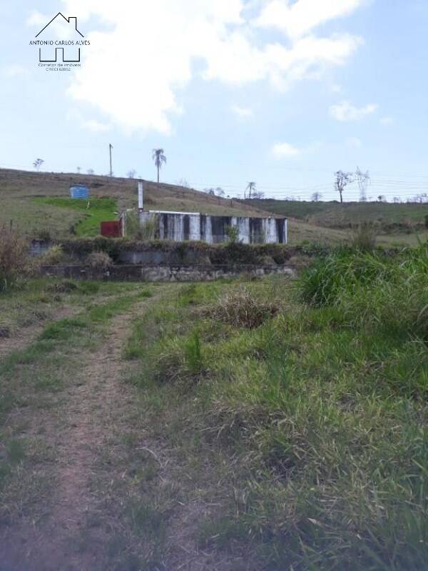 Fazenda à venda com 3 quartos, 6500m² - Foto 19