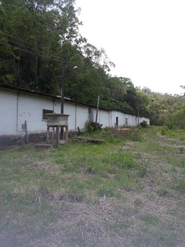 Fazenda à venda com 3 quartos, 6500m² - Foto 20