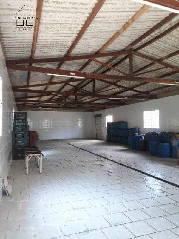 Fazenda à venda com 3 quartos, 6500m² - Foto 23