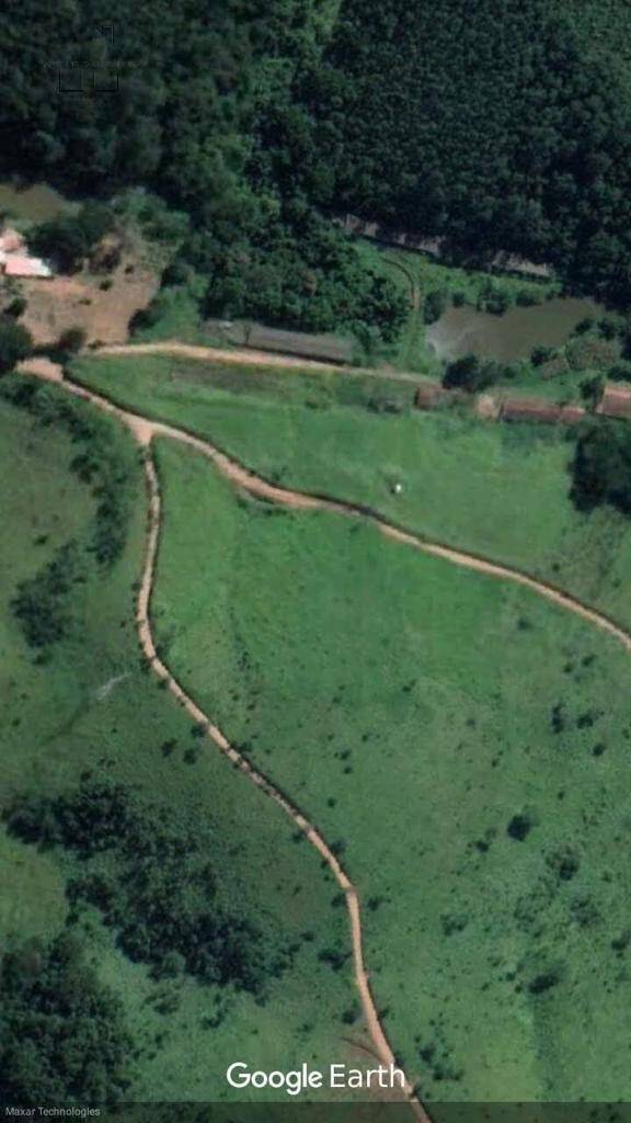 Fazenda à venda com 3 quartos, 6500m² - Foto 27